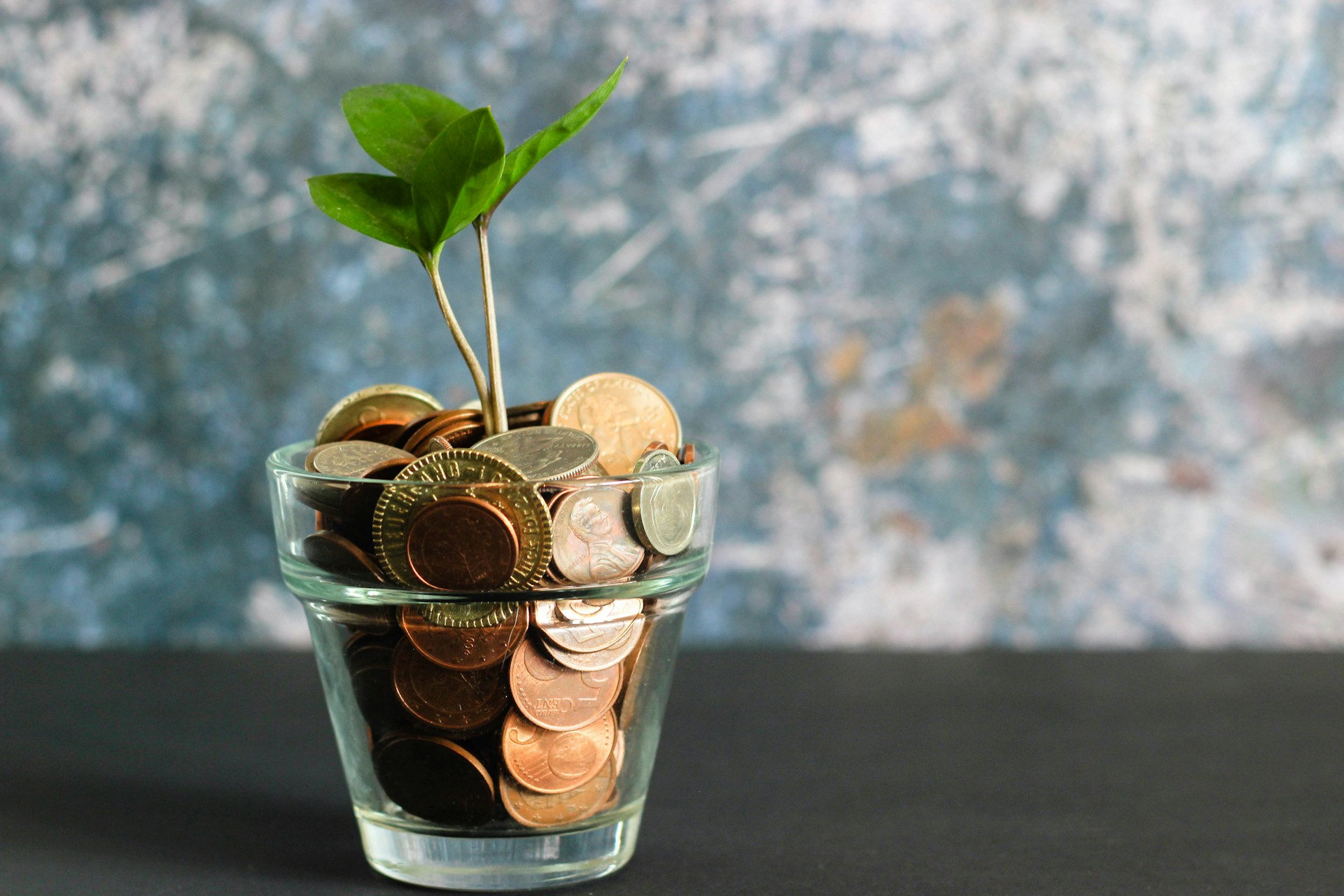 Glass container with coins, a plant is sprouting from it